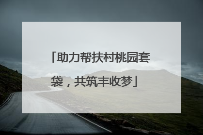 助力帮扶村桃园套袋，共筑丰收梦