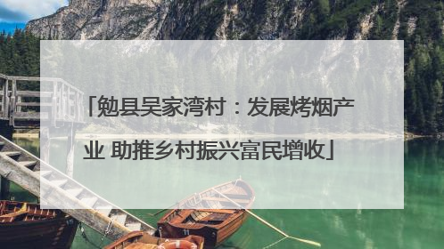 勉县吴家湾村：发展烤烟产业 助推乡村振兴富民增收