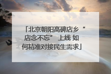 北京朝阳高碑店乡“店念不忘” 上线 如何精准对接民生需求