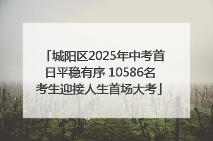 城阳区2025年中考首日平稳有序 10586名考生迎接人生首场大考