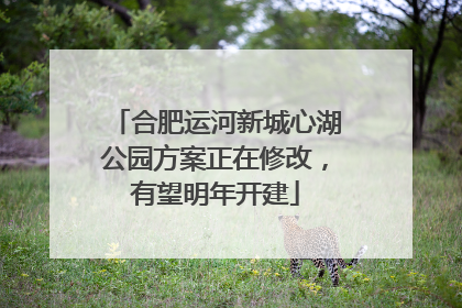 合肥运河新城心湖公园方案正在修改，有望明年开建