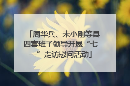 周华兵、未小刚等县四套班子领导开展“七一”走访慰问活动