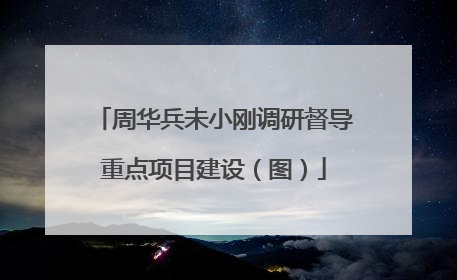 周华兵未小刚调研督导重点项目建设（图）