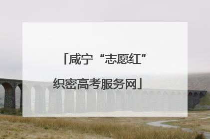 咸宁“志愿红”织密高考服务网