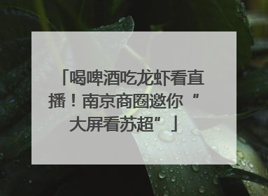 喝啤酒吃龙虾看直播！南京商圈邀你“大屏看苏超”