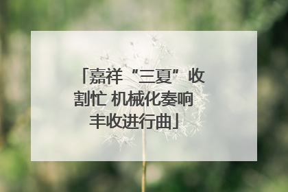嘉祥“三夏”收割忙 机械化奏响丰收进行曲