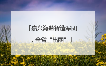 嘉兴海盐智造军团，全省“出圈”