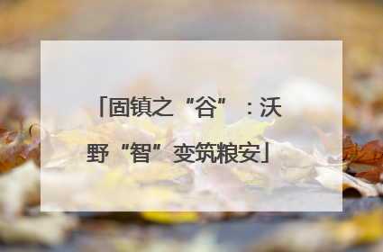 固镇之“谷”：沃野“智”变筑粮安