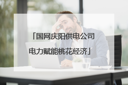 国网庆阳供电公司电力赋能桃花经济