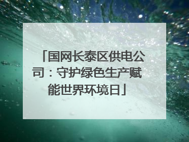 国网长泰区供电公司：守护绿色生产赋能世界环境日