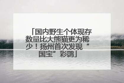 国内野生个体现存数量比大熊猫更为稀少！扬州首次发现“国宝”彩鹮