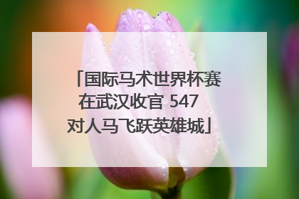 国际马术世界杯赛在武汉收官 547对人马飞跃英雄城