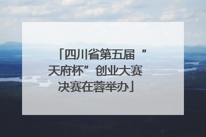 四川省第五届“天府杯”创业大赛决赛在蓉举办