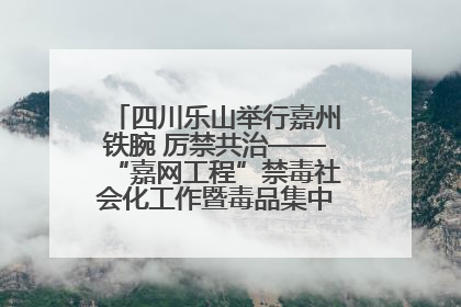 四川乐山举行嘉州铁腕 厉禁共治——“嘉网工程”禁毒社会化工作暨毒品集中销毁启动仪式