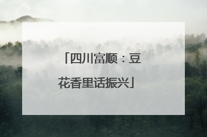 四川富顺：豆花香里话振兴