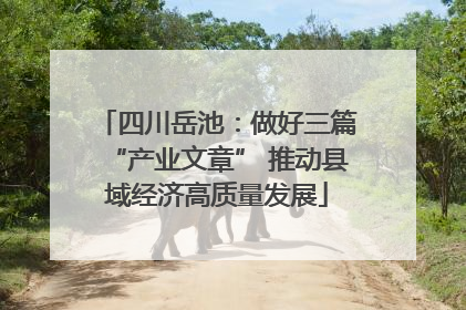 四川岳池：做好三篇“产业文章” 推动县域经济高质量发展