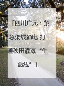 四川广元：紧急架线通电 打通秧田灌溉“生命线”