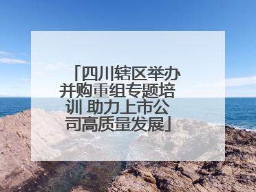 四川辖区举办并购重组专题培训 助力上市公司高质量发展