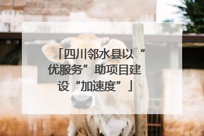 四川邻水县以“优服务”助项目建设“加速度”