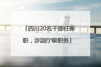 四川20名干部任新职，涉副厅级职务