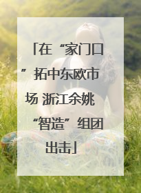 在“家门口”拓中东欧市场 浙江余姚“智造”组团出击