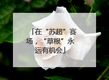 在“苏超”赛场，“草根”永远有机会