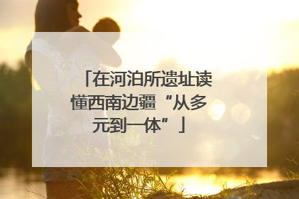 在河泊所遗址读懂西南边疆“从多元到一体”
