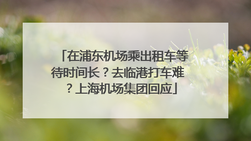 在浦东机场乘出租车等待时间长？去临港打车难？上海机场集团回应