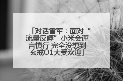 对话雷军：面对“流量反噬”小米会谨言慎行 完全没想到玄戒O1大受欢迎