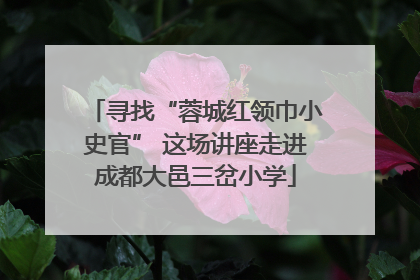 寻找“蓉城红领巾小史官” 这场讲座走进成都大邑三岔小学