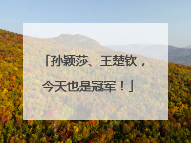 孙颖莎、王楚钦，今天也是冠军！
