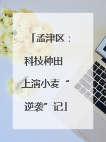 孟津区：科技种田 上演小麦“逆袭”记