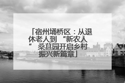 宿州埇桥区：从退休老人到 “新农人” 桑葚园开启乡村振兴新篇章