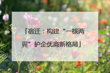 宿迁：构建“一核两翼”护企优商新格局