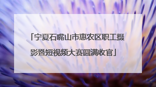 宁夏石嘴山市惠农区职工摄影暨短视频大赛圆满收官