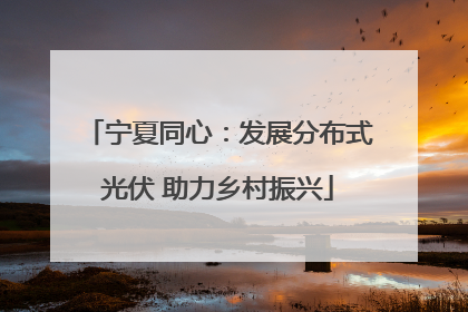 宁夏同心：发展分布式光伏 助力乡村振兴
