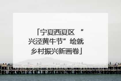 宁夏西夏区 “兴泾黄牛节”绘就乡村振兴新画卷