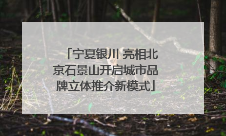 宁夏银川 亮相北京石景山开启城市品牌立体推介新模式