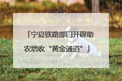 宁夏铁路部门开辟助农增收“黄金通道”