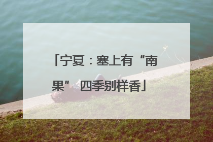 宁夏：塞上有“南果” 四季别样香