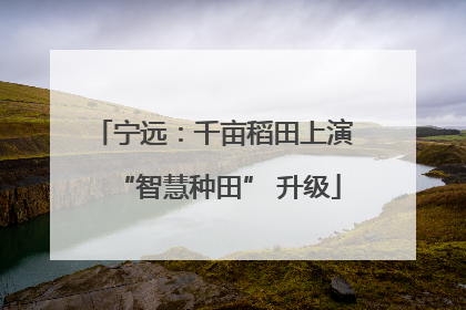 宁远：千亩稻田上演 “智慧种田” 升级