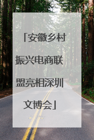 安徽乡村振兴电商联盟亮相深圳文博会