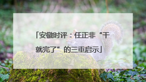 安徽时评：任正非“干就完了”的三重启示