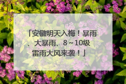 安徽明天入梅！暴雨、大暴雨、8～10级雷雨大风来袭！