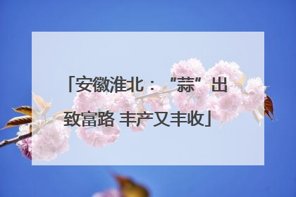 安徽淮北：“蒜”出致富路 丰产又丰收