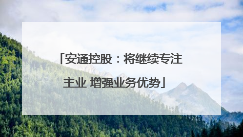 安通控股：将继续专注主业 增强业务优势
