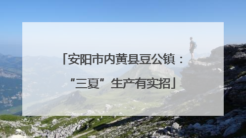 安阳市内黄县豆公镇：“三夏”生产有实招