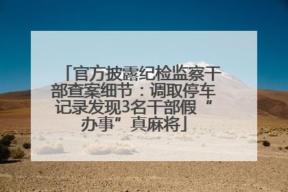 官方披露纪检监察干部查案细节：调取停车记录发现3名干部假“办事”真麻将