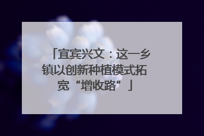 宜宾兴文：这一乡镇以创新种植模式拓宽“增收路”
