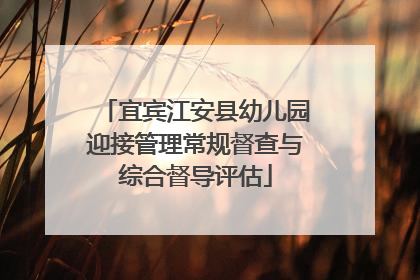 宜宾江安县幼儿园迎接管理常规督查与综合督导评估